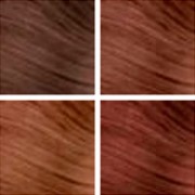 Redken Brunette color