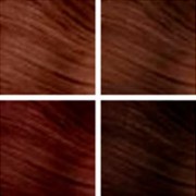 Redken Brunette color