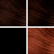 Redken Brunette color