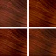 Redken Brunette color